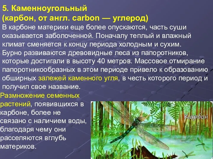 Размножение семенных растений, появившихся в карбоне, более не связано с