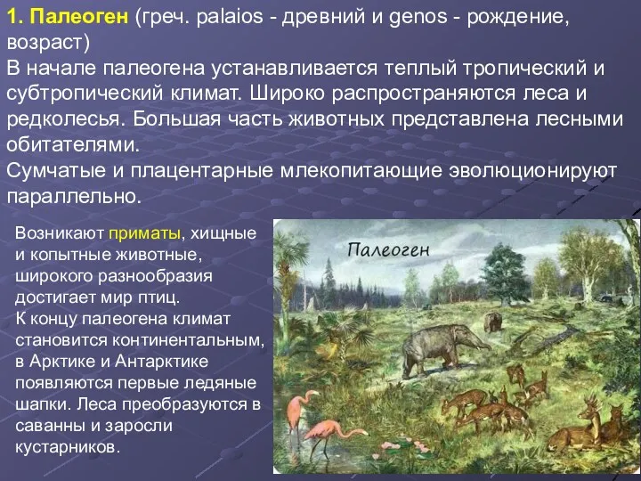 1. Палеоген (греч. palaios - древний и genos - рождение,