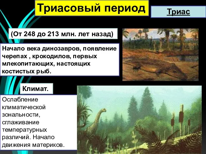 (От 248 до 213 млн. лет назад) Начало века динозавров, появление черепах ,