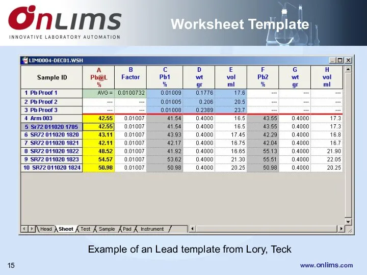 Worksheet Template Example of an Lead template from Lory, Teck