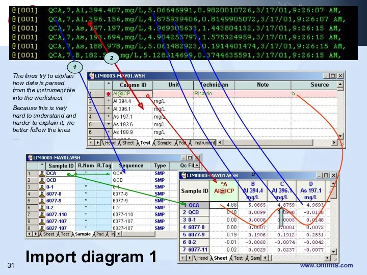 Import diagram 1 a The lines try to explain how