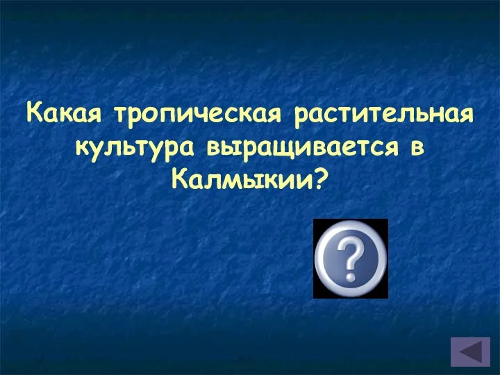 Какая тропическая растительная культура выращивается в Калмыкии? Рис