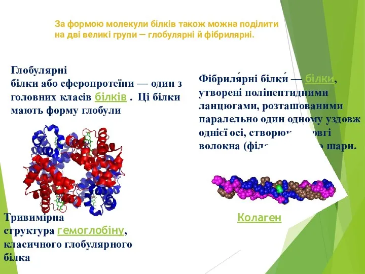Глобулярні білки або сферопротеїни — один з головних класів білків