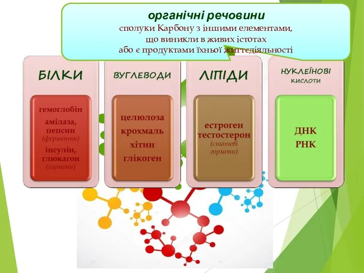 БІОПОЛІМЕРИ органічні речовини сполуки Карбону з іншими елементами, що виникли