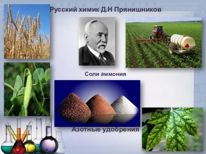 Русский химик Д.Н Прянишников Соли аммония Азотные удобрения