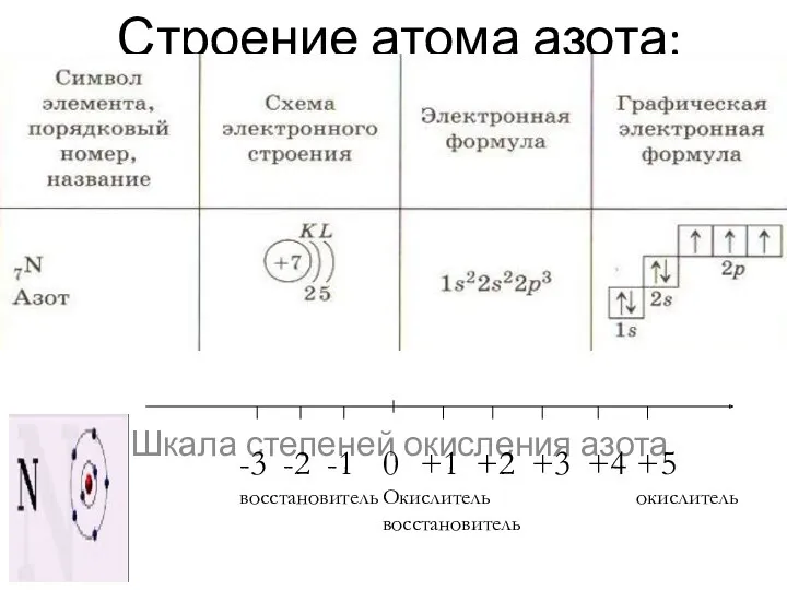 Строение атома азота: Шкала степеней окисления азота -1 0 Окислитель