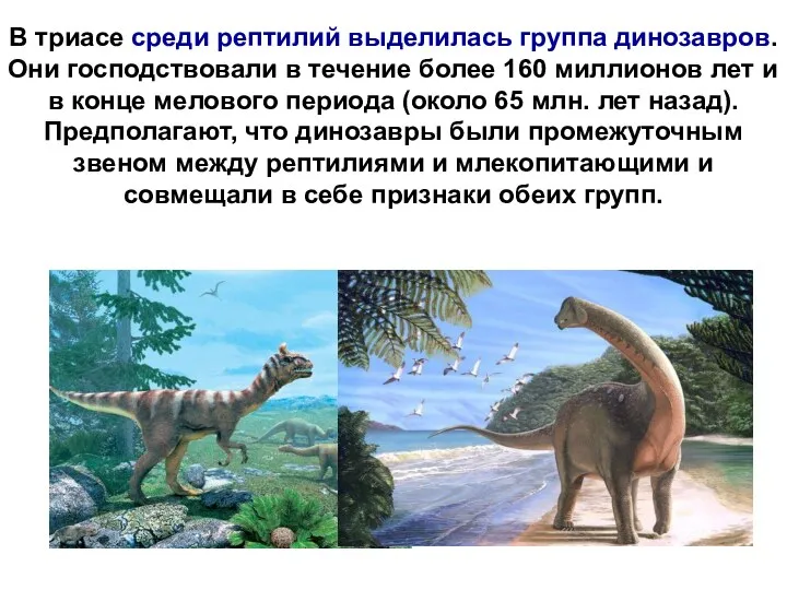 В триасе среди рептилий выделилась группа динозавров. Они господствовали в