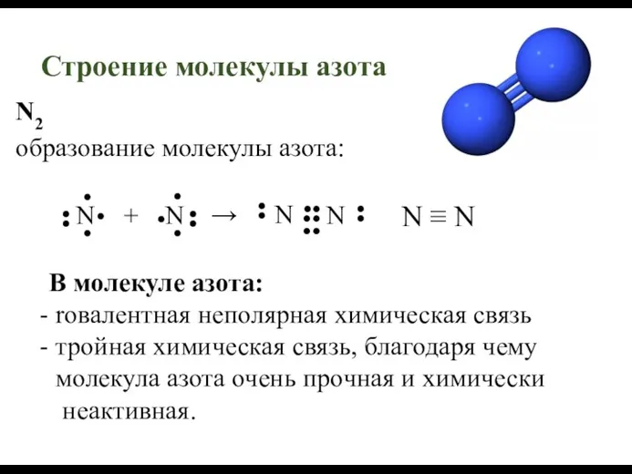 Строение молекулы азота N2 образование молекулы азота: В молекуле азота: