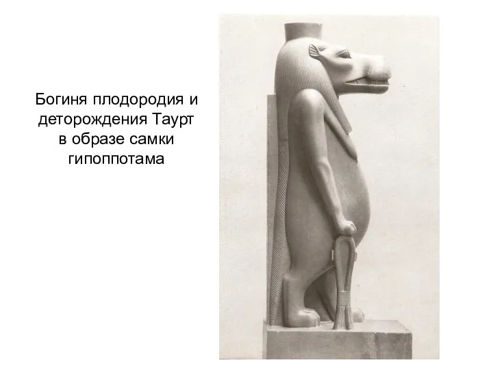 Богиня плодородия и деторождения Таурт в образе самки гипоппотама