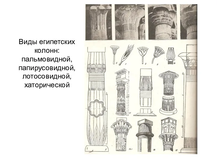 Виды египетских колонн: пальмовидной, папирусовидной, лотосовидной, хаторической