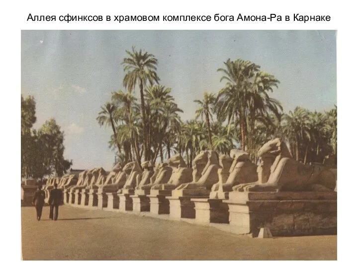 Аллея сфинксов в храмовом комплексе бога Амона-Ра в Карнаке