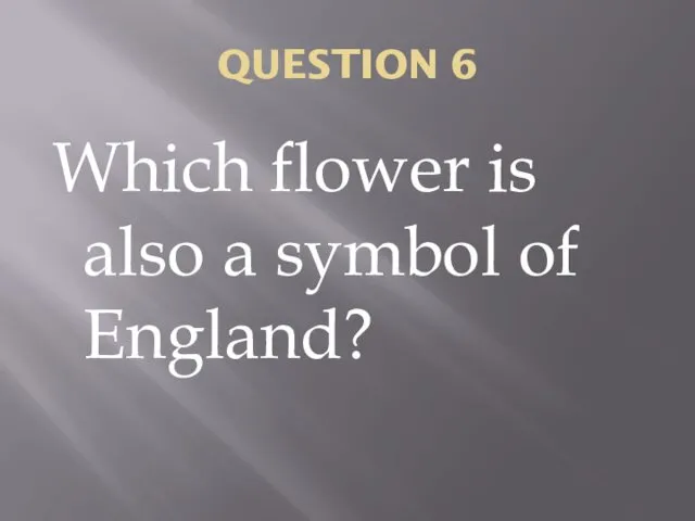 QUESTION 6 Which flower is also a symbol of England?