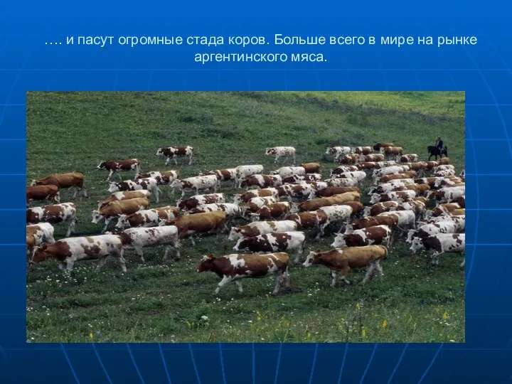 …. и пасут огромные стада коров. Больше всего в мире на рынке аргентинского мяса.