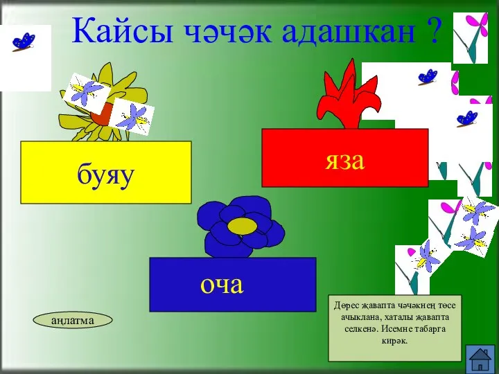 оча Кайсы чәчәк адашкан ? аңлатма Дөрес җавапта чәчәкнең төсе