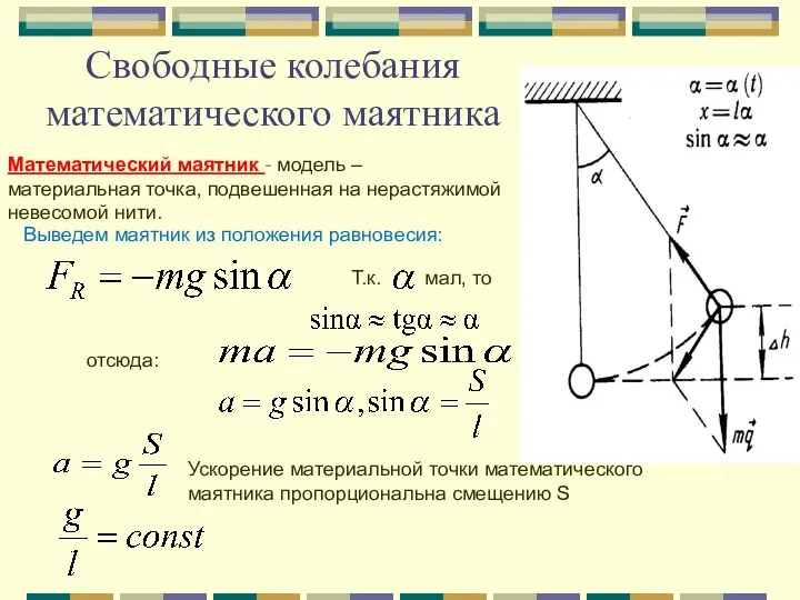 Свободные колебания математического маятника Математический маятник - модель – материальная