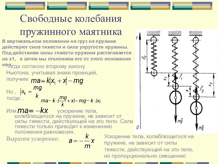 Свободные колебания пружинного маятника Тогда согласно второму закону Ньютона, учитывая