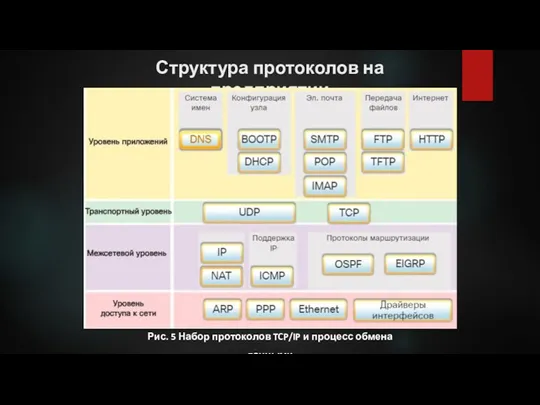 Структура протоколов на предприятии Рис. 5 Набор протоколов TCP/IP и процесс обмена данными