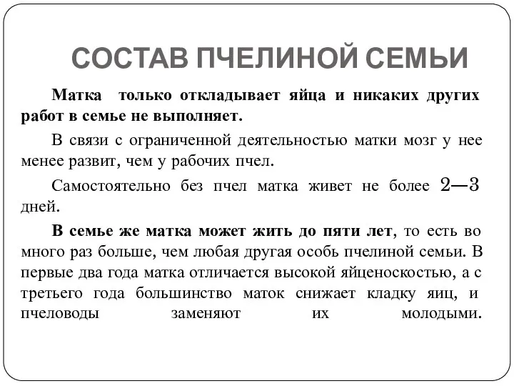 СОСТАВ ПЧЕЛИНОЙ СЕМЬИ Матка только откладывает яйца и никаких других