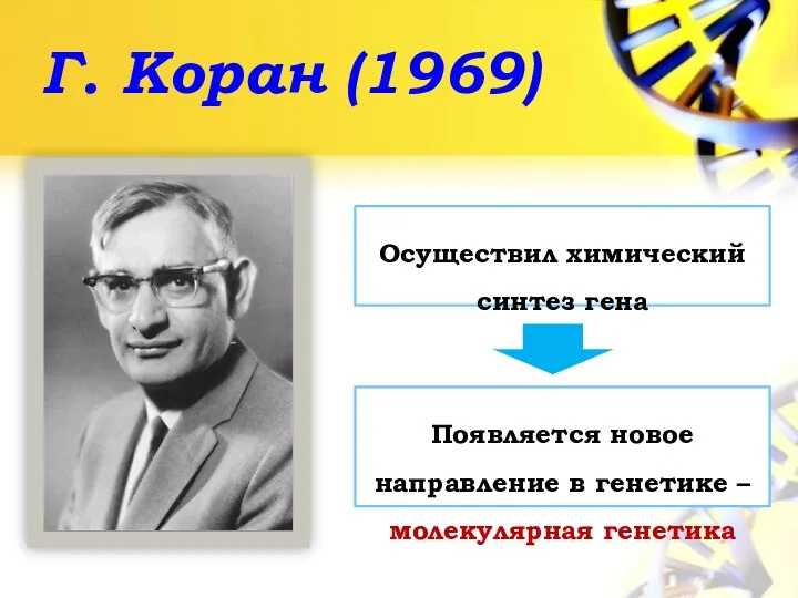 Г. Коран (1969) Осуществил химический синтез гена Появляется новое направление в генетике – молекулярная генетика