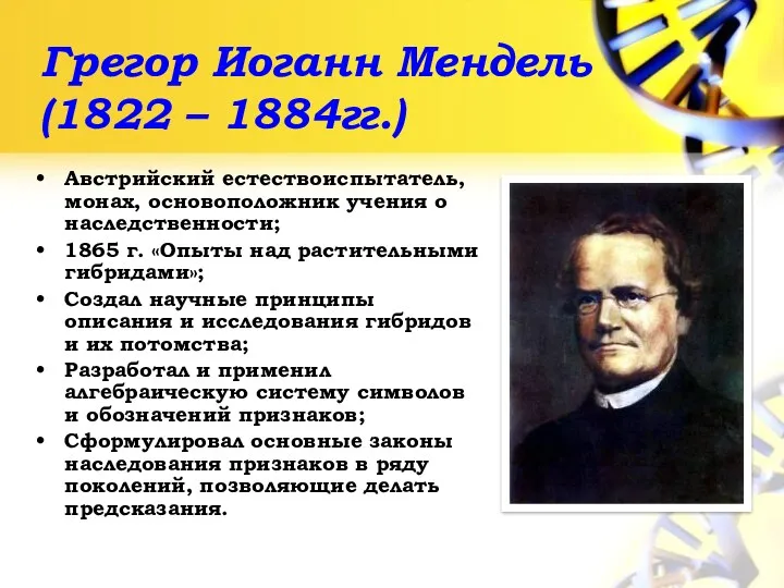 Грегор Иоганн Мендель (1822 – 1884гг.) Австрийский естествоиспытатель, монах, основоположник