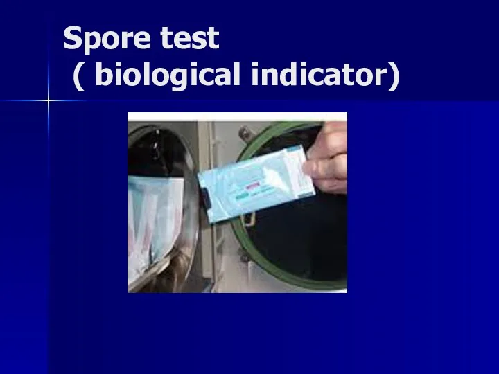 Spore test ( biological indicator)