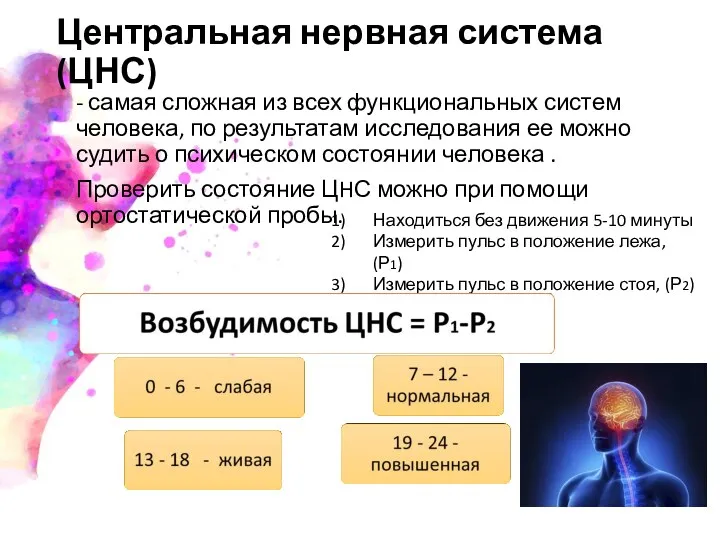 Центральная нервная система (ЦНС) - самая сложная из всех функциональных