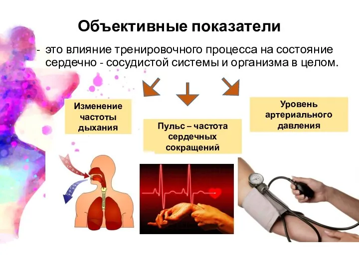 Объективные показатели - это влияние тренировочного процесса на состояние сердечно