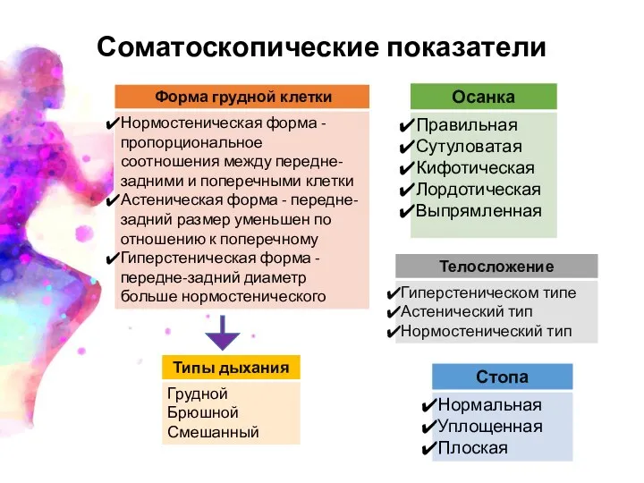 Соматоскопические показатели