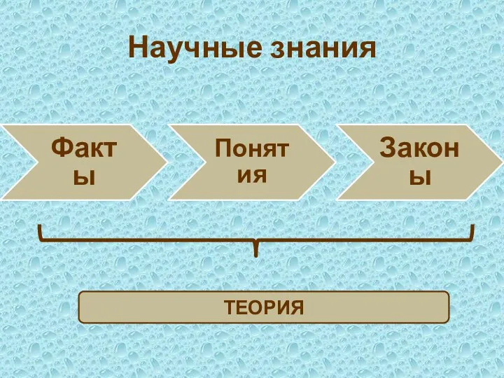 Научные знания Факты Понятия Законы ТЕОРИЯ