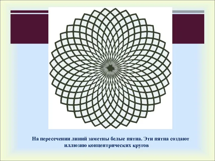 На пересечении линий заметны белые пятна. Эти пятна создают иллюзию концентрических кругов