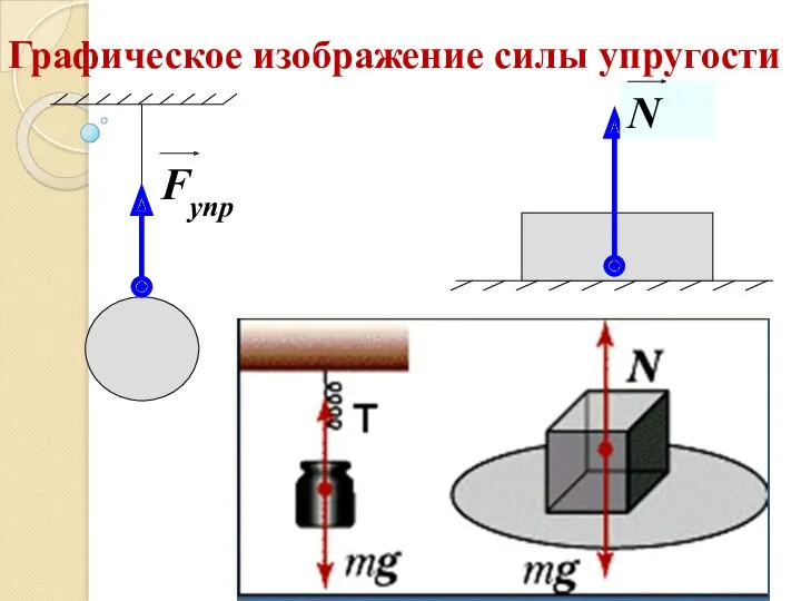 Графическое изображение силы упругости