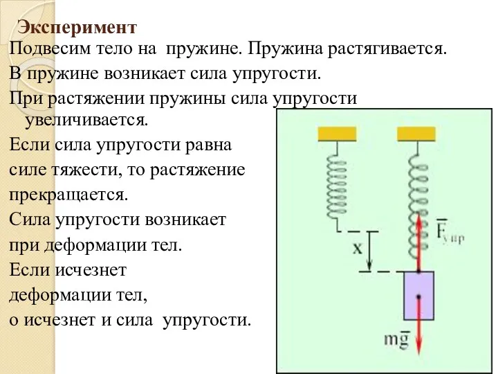 Эксперимент Подвесим тело на пружине. Пружина растягивается. В пружине возникает