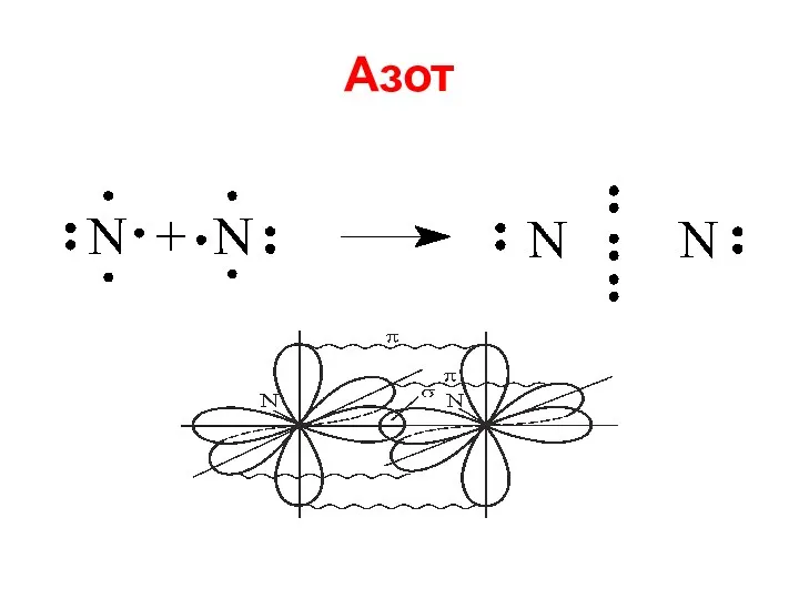 Азот