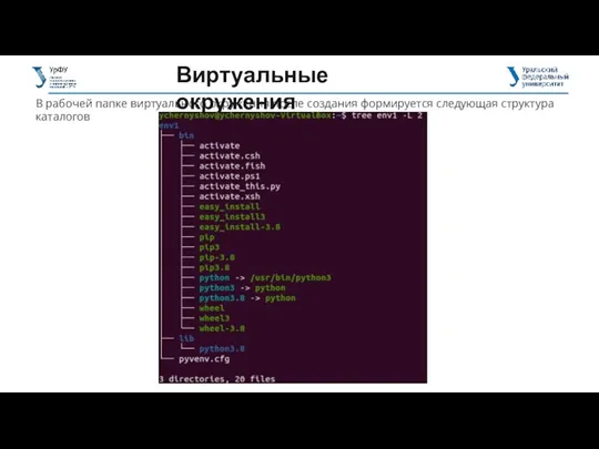 В рабочей папке виртуального окружения после создания формируется следующая структура каталогов Виртуальные окружения