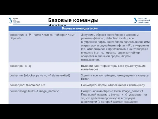 Базовые команды docker