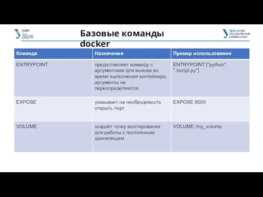 Базовые команды docker