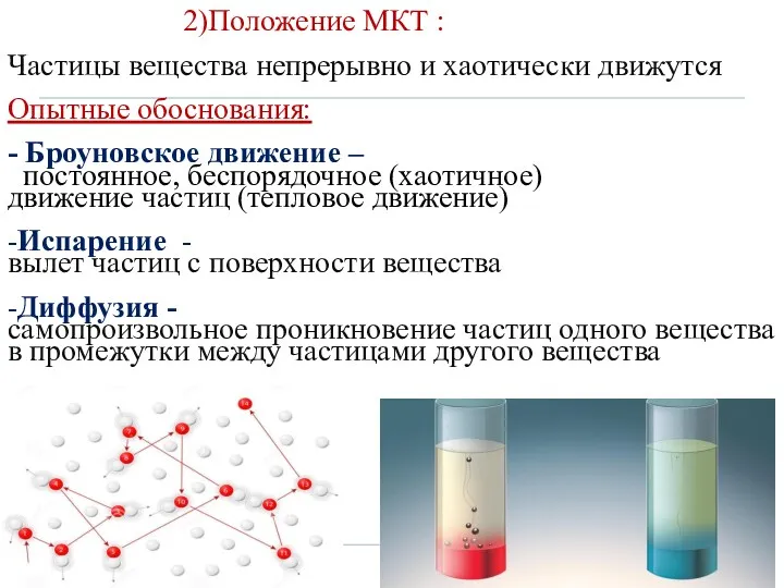 2)Положение МКТ : Частицы вещества непрерывно и хаотически движутся Опытные обоснования: - Броуновское