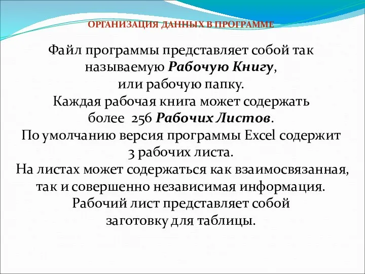 ОРГАНИЗАЦИЯ ДАННЫХ В ПРОГРАММЕ Файл программы представляет собой так называемую