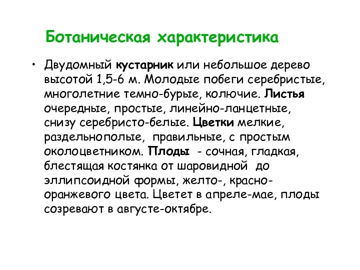 Ботаническая характеристика Двудомный кустарник или небольшое дерево высотой 1,5-6 м.