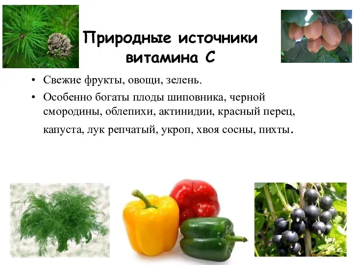 Природные источники витамина С Свежие фрукты, овощи, зелень. Особенно богаты плоды шиповника, черной