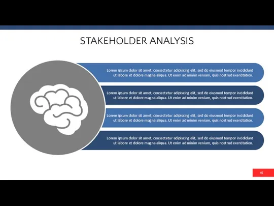 STAKEHOLDER ANALYSIS