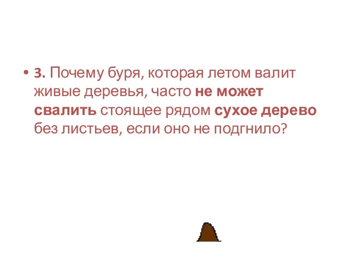 3. Почему буря, которая летом валит живые деревья, часто не