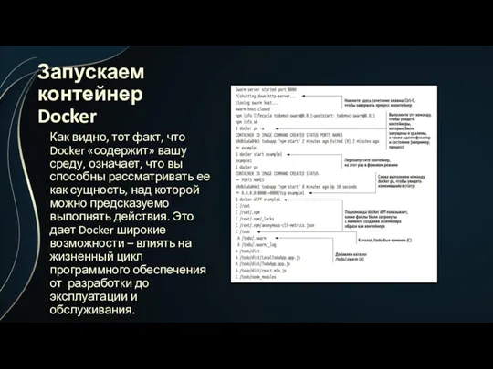 Запускаем контейнер Docker Как видно, тот факт, что Docker «содержит» вашу среду, означает,