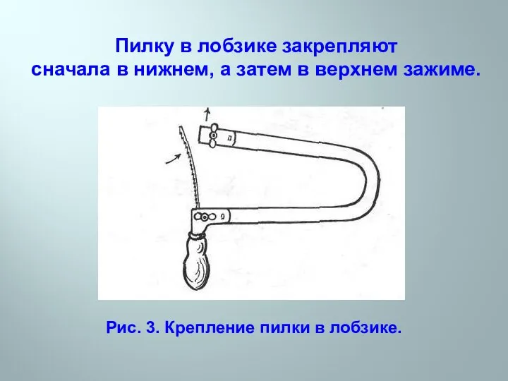 Пилку в лобзике закрепляют сначала в нижнем, а затем в верхнем зажиме. Рис.