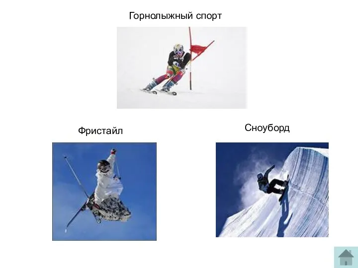 Горнолыжный спорт Фристайл Сноуборд