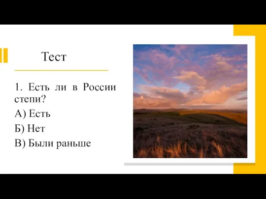 Тест 1. Есть ли в России степи? А) Есть Б) Нет В) Были раньше