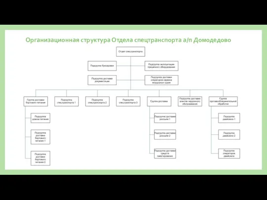 Организационная структура Отдела спецтранспорта а/п Домодедово