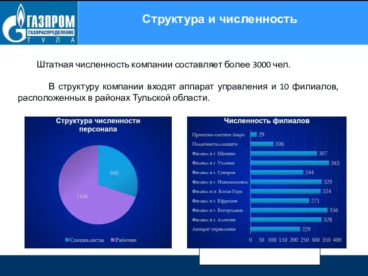 Структура и численность Штатная численность компании составляет более 3000 чел.