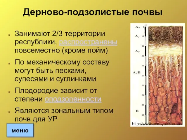 Дерново-подзолистые почвы Занимают 2/3 территории республики, распространены повсеместно (кроме пойм)