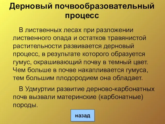 Дерновый почвообразовательный процесс В лиственных лесах при разложении лиственного опада